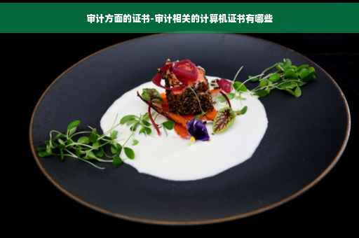 审计方面的证书-审计相关的计算机证书有哪些