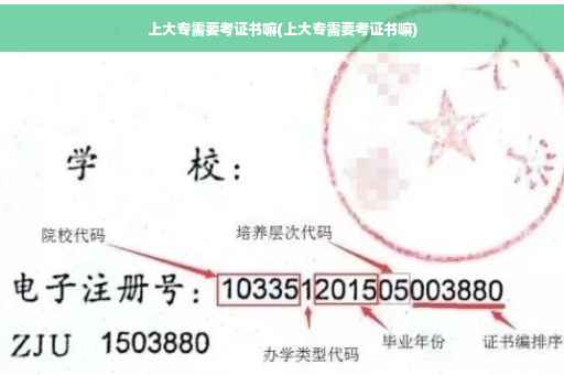 上大专需要考证书嘛(上大专需要考证书嘛)