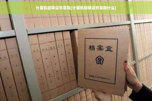 计算机初级证书是指(计算机初级证书是指什么)