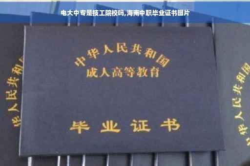 电大中专是技工院校吗,海南中职毕业证书图片