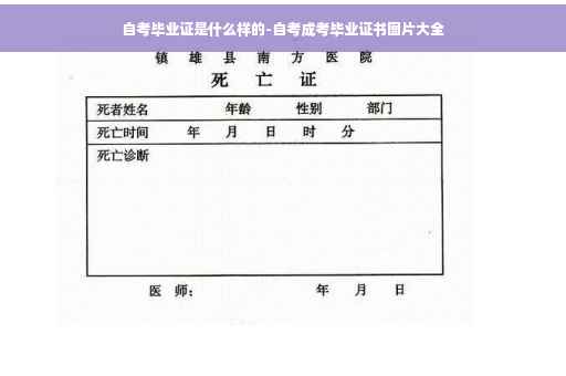 自考毕业证是什么样的-自考成考毕业证书图片大全