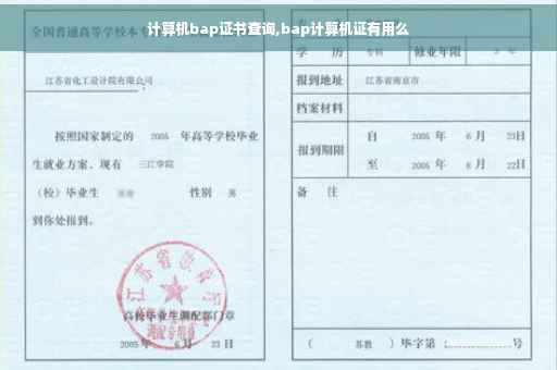 计算机bap证书查询,bap计算机证有用么