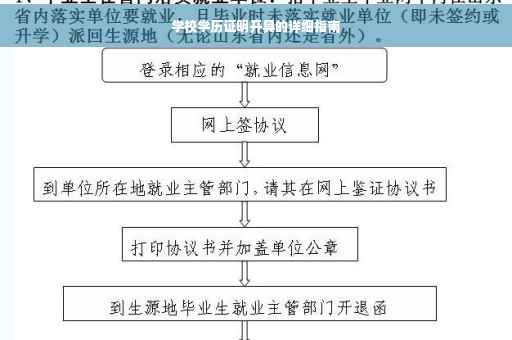 学校学历证明开具的详细指南