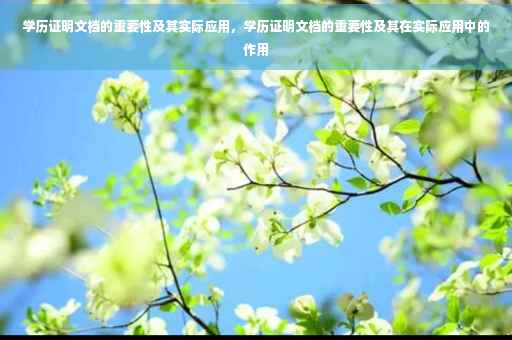 学历证明文档的重要性及其实际应用，学历证明文档的重要性及其在实际应用中的作用