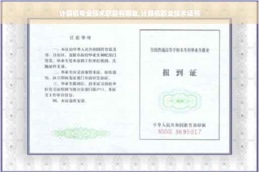 计算机专业技术职称有哪些,计算机职业技术证书