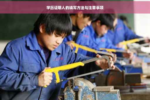 学历证明人的填写方法与注意事项