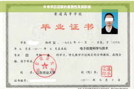 中专学历证明的重要性及其影响