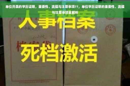 单位开具的学历证明，重要性、流程与注意事项??，单位学历证明的重要性、流程与注意事项全解析