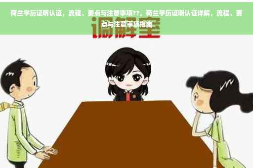 荷兰学历证明认证，流程、要点与注意事项??，荷兰学历证明认证详解，流程、要点与注意事项指南