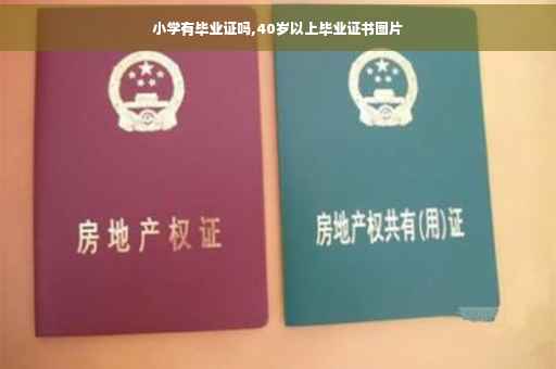小学有毕业证吗,40岁以上毕业证书图片