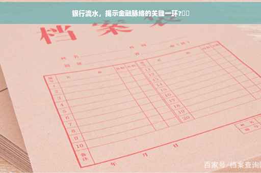 银行流水，揭示金融脉络的关键一环?⚡️
