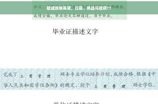 取成绩单英语，过程、挑战与收获??