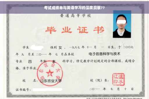 考试成绩单与英语学习的深度洞察??