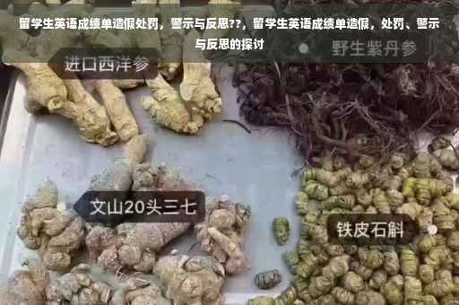 留学生英语成绩单造假处罚，警示与反思??，留学生英语成绩单造假，处罚、警示与反思的探讨