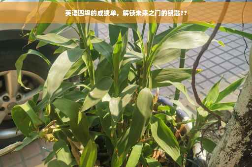 英语四级的成绩单，解锁未来之门的钥匙??