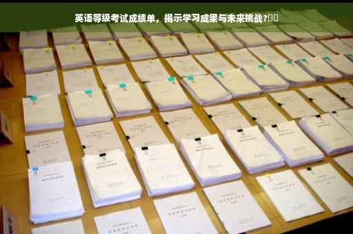 英语等级考试成绩单，揭示学习成果与未来挑战?⚡️