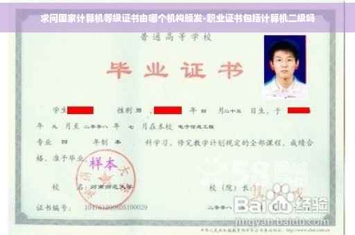 求问国家计算机等级证书由哪个机构颁发-职业证书包括计算机二级吗