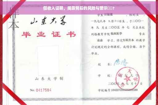 假收入证明，揭露背后的风险与警示⚡️?