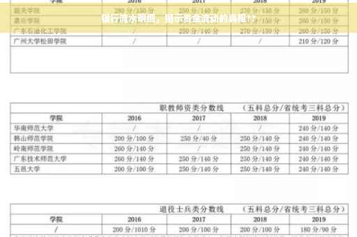 银行流水明细,揭示资金流动的真相?? 银行流水明细,揭示资金流动的真相??