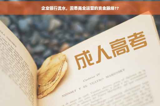 企业银行流水,洞悉商业运营的资金脉络?? 企业银行流水,洞悉商业运营的资金脉络??