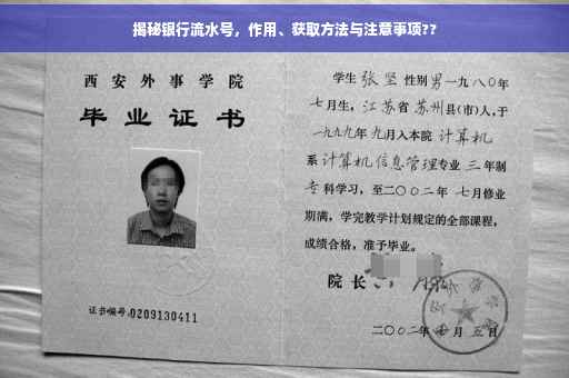 揭秘银行流水号，作用、获取方法与注意事项??