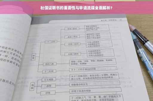 社保证明书的重要性与申请流程全面解析?