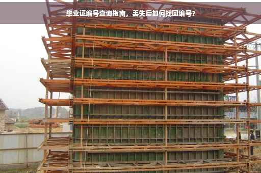 毕业证编号查询指南，丢失后如何找回编号？