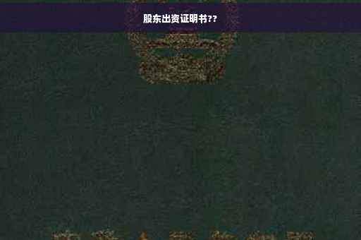 股东出资证明书??