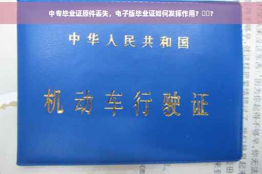 中专毕业证原件丢失，电子版毕业证如何发挥作用？⚡️?