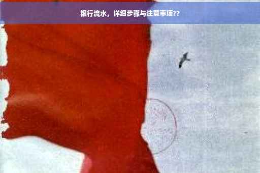 银行流水，详细步骤与注意事项??
