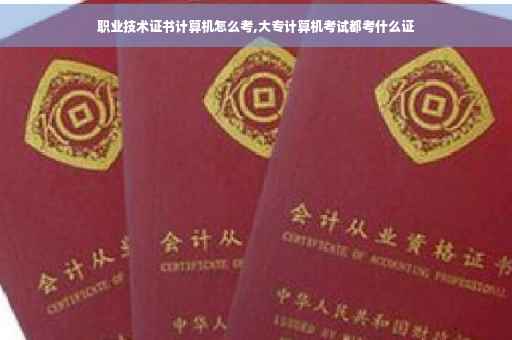 职业技术证书计算机怎么考,大专计算机考试都考什么证