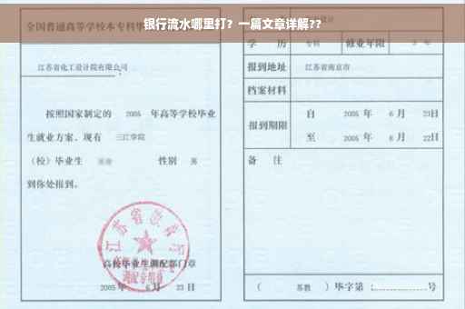 银行流水哪里打？一篇文章详解??