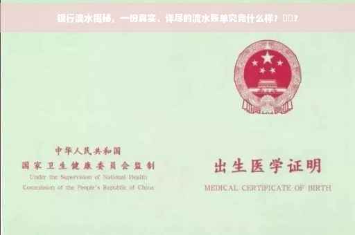 银行流水揭秘，一份真实、详尽的流水账单究竟什么样？⚡️?