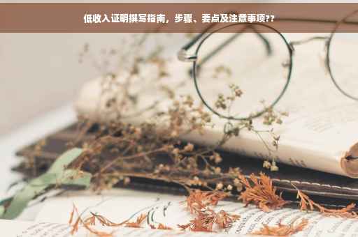 低收入证明撰写指南，步骤、要点及注意事项??