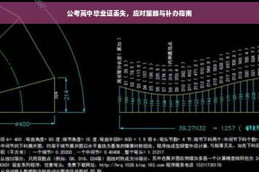 公考高中毕业证丢失，应对策略与补办指南