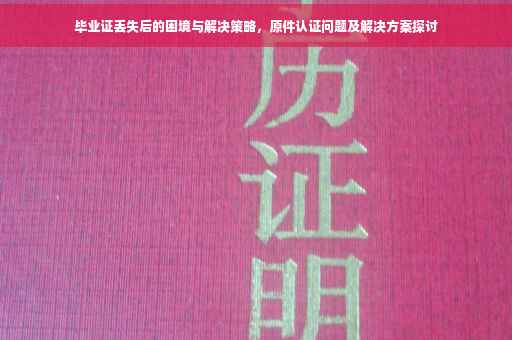 毕业证丢失后的困境与解决策略，原件认证问题及解决方案探讨