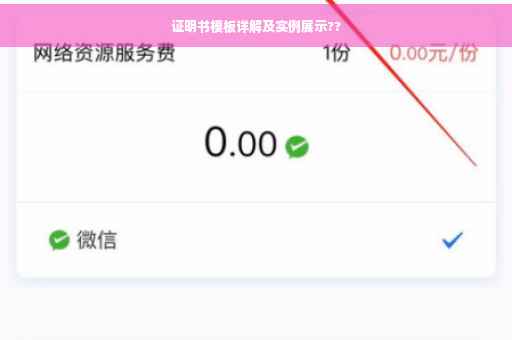 证明书模板详解及实例展示??
