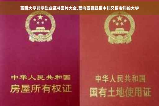 西藏大学药学毕业证书图片大全,面向西藏既招本科又招专科的大学
