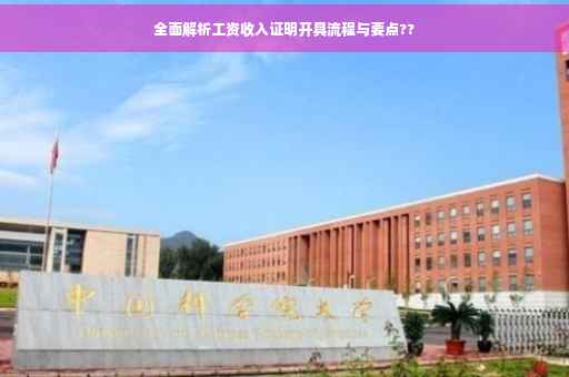 全面解析工资收入证明开具流程与要点??