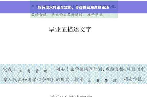 银行流水打印全攻略，步骤详解与注意事项