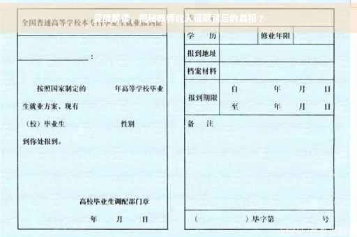 深度解读，揭秘教师收入证明背后的真相 ?