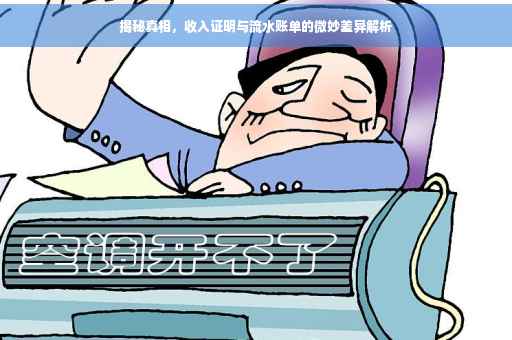 揭秘真相，收入证明与流水账单的微妙差异解析