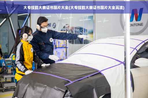 大专技能大赛证书图片大全(大专技能大赛证书图片大全高清)