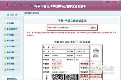 怀孕诊断证明书图片及其内容全面解析