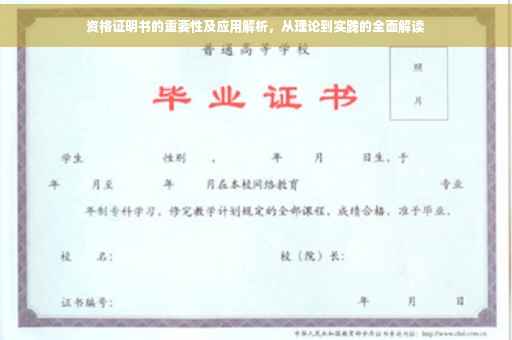 资格证明书的重要性及应用解析，从理论到实践的全面解读