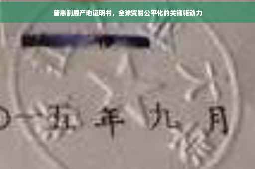 普惠制原产地证明书，全球贸易公平化的关键驱动力