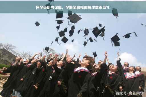 怀孕证明书详解，孕期全程指南与注意事项?✨