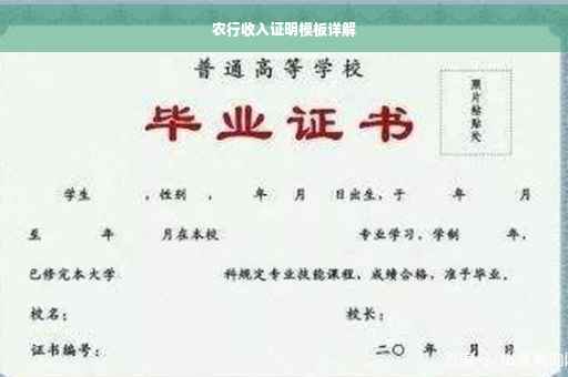 农行收入证明模板详解