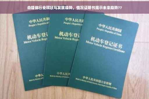 自媒体行业现状与发展趋势，情况证明书揭示未来趋势??