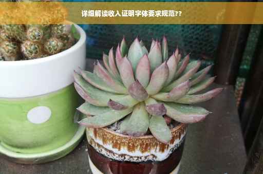 详细解读收入证明字体要求规范??